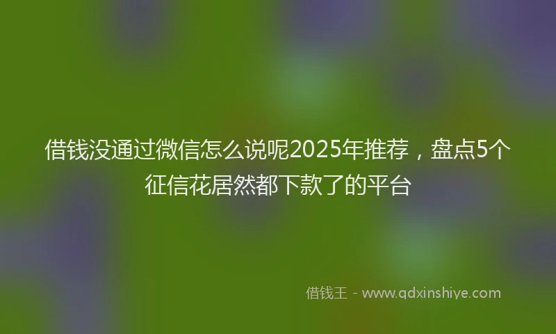 借钱没通过微信怎么说呢2025年推荐，盘点5个征信花居然都下款了的平台