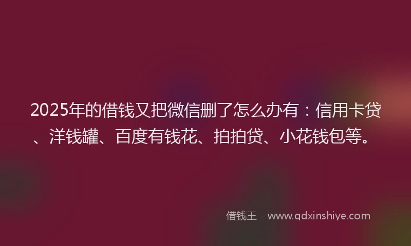 2025年的借钱又把微信删了怎么办有：信用卡贷、洋钱罐、百度有钱花、拍拍贷、小花钱包等。
