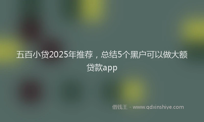 五百小贷2025年推荐，总结5个黑户可以做大额贷款app