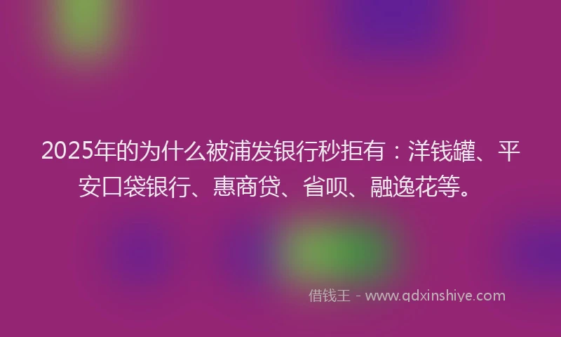 2025年的为什么被浦发银行秒拒有：洋钱罐、平安口袋银行、惠商贷、省呗、融逸花等。