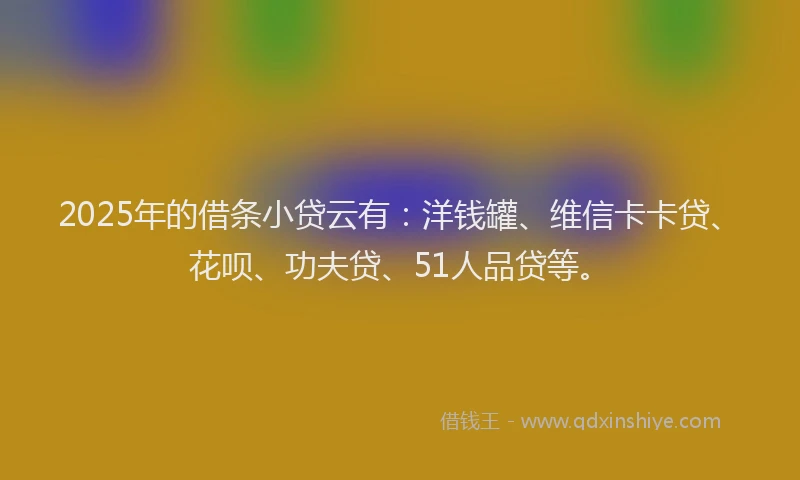 2025年的借条小贷云有：洋钱罐、维信卡卡贷、花呗、功夫贷、51人品贷等。