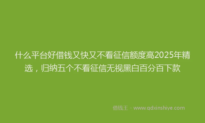 什么平台好借钱又快又不看征信额度高2025年精选，归纳五个不看征信无视黑白百分百下款