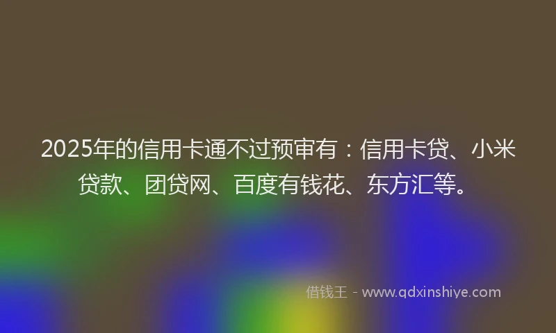 2025年的信用卡通不过预审有：信用卡贷、小米贷款、团贷网、百度有钱花、东方汇等。