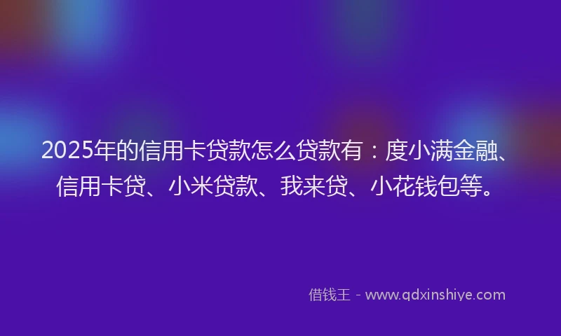 2025年的信用卡贷款怎么贷款有：度小满金融、信用卡贷、小米贷款、我来贷、小花钱包等。