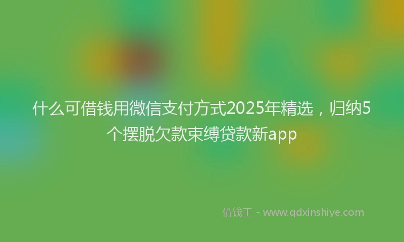 什么可借钱用微信支付方式2025年精选，归纳5个摆脱欠款束缚贷款新app