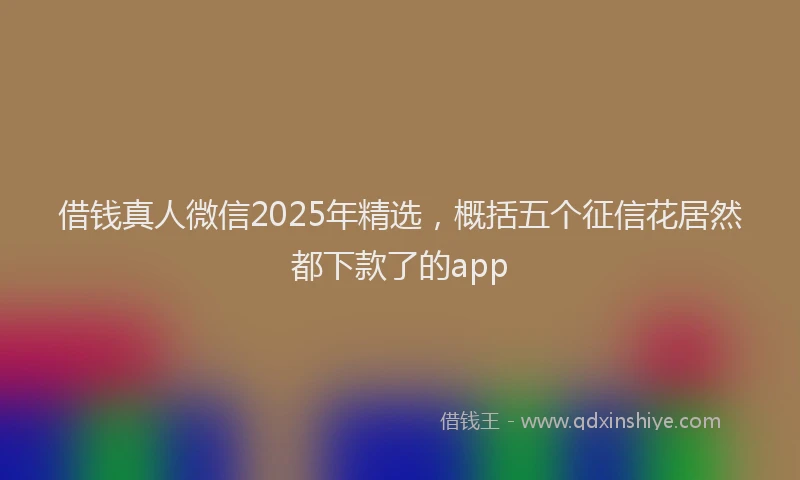 借钱真人微信2025年精选，概括五个征信花居然都下款了的app