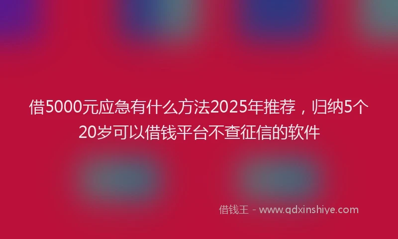 借5000元应急有什么方法2025年推荐，归纳5个20岁可以借钱平台不查征信的软件