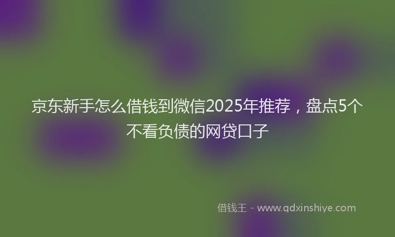 京东新手怎么借钱到微信2025年推荐，盘点5个不看负债的网贷口子
