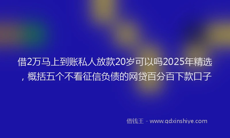 借2万马上到账私人放款20岁可以吗2025年精选，概括五个不看征信负债的网贷百分百下款口子