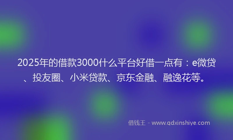 2025年的借款3000什么平台好借一点有：e微贷、投友圈、小米贷款、京东金融、融逸花等。
