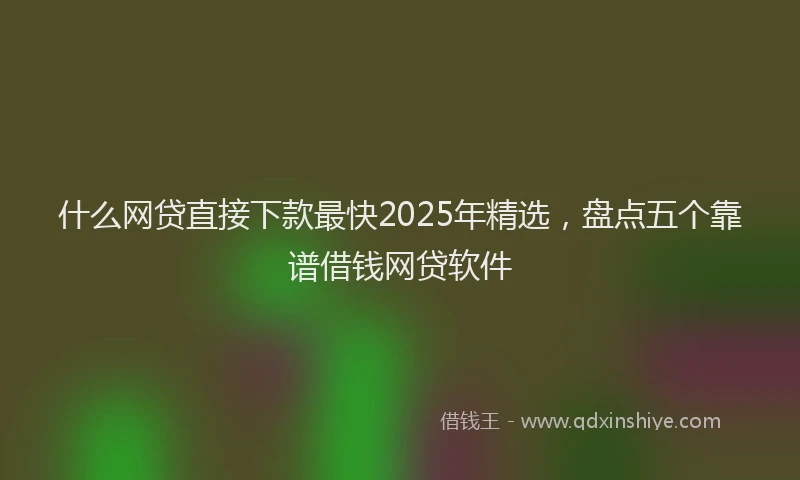 什么网贷直接下款最快2025年精选，盘点五个靠谱借钱网贷软件