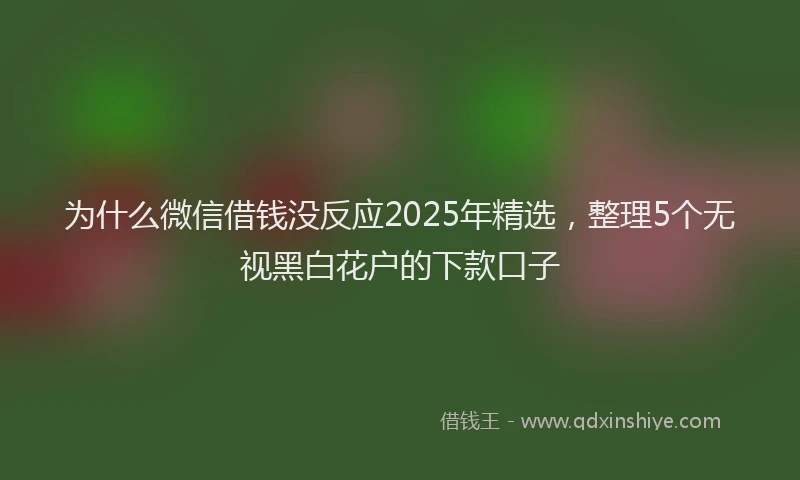 为什么微信借钱没反应2025年精选，整理5个无视黑白花户的下款口子