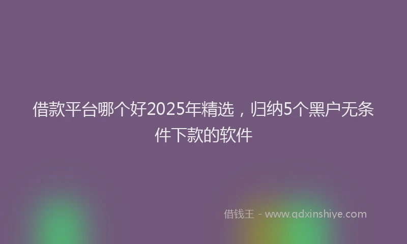 借款平台哪个好2025年精选，归纳5个黑户无条件下款的软件