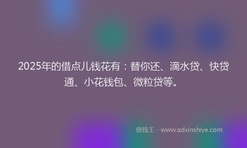 2025年的借点儿钱花有：替你还、滴水贷、快贷通、小花钱包、微粒贷等。