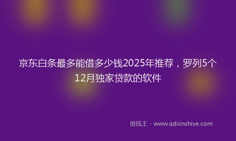 京东白条最多能借多少钱2025年推荐，罗列5个12月独家贷款的软件