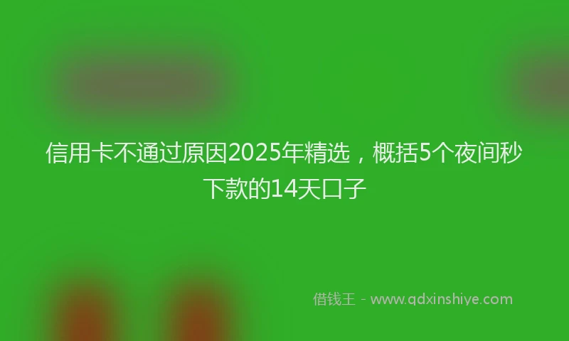 信用卡不通过原因2025年精选，概括5个夜间秒下款的14天口子