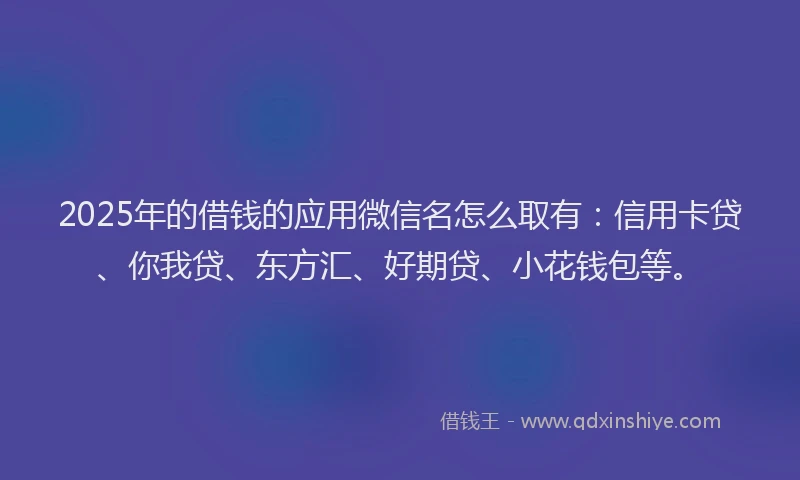 2025年的借钱的应用微信名怎么取有：信用卡贷、你我贷、东方汇、好期贷、小花钱包等。