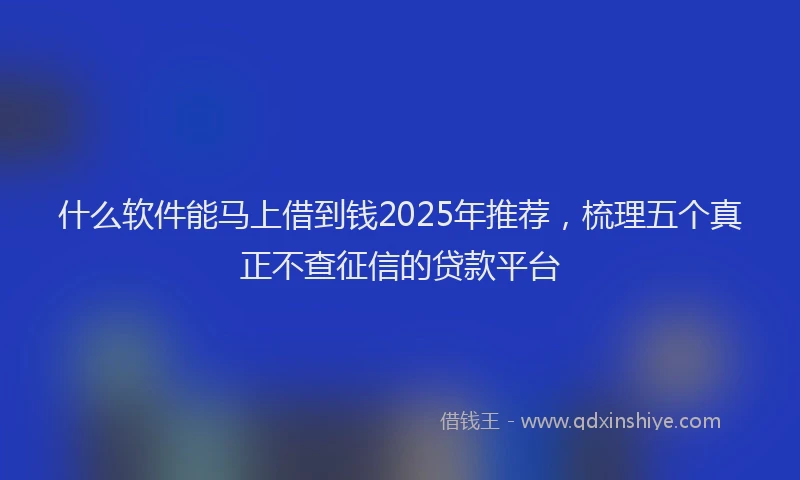什么软件能马上借到钱2025年推荐，梳理五个真正不查征信的贷款平台