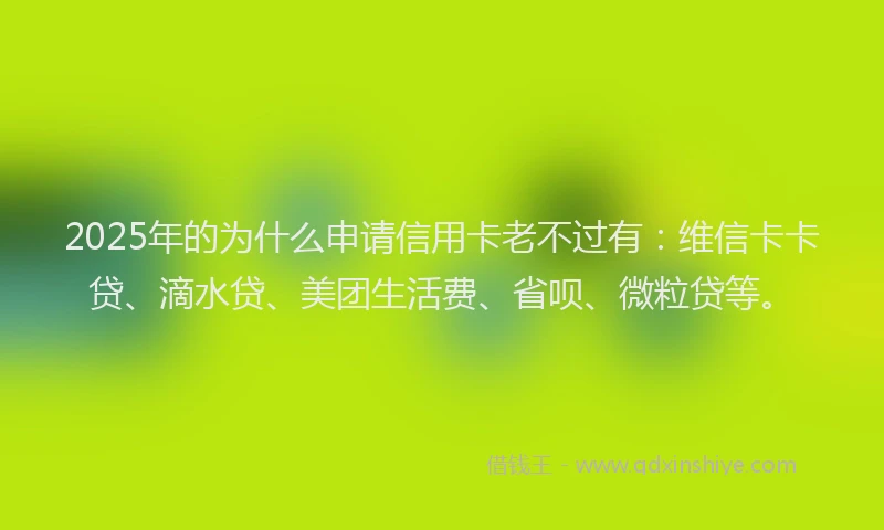 2025年的为什么申请信用卡老不过有：维信卡卡贷、滴水贷、美团生活费、省呗、微粒贷等。