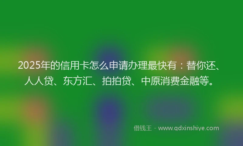 2025年的信用卡怎么申请办理最快有：替你还、人人贷、东方汇、拍拍贷、中原消费金融等。