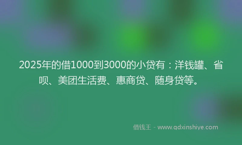 2025年的借1000到3000的小贷有：洋钱罐、省呗、美团生活费、惠商贷、随身贷等。