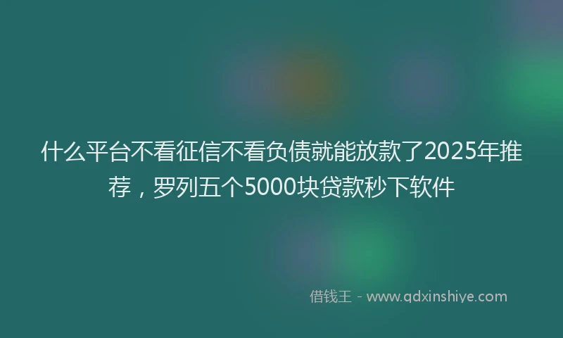 什么平台不看征信不看负债就能放款了2025年推荐，罗列五个5000块贷款秒下软件