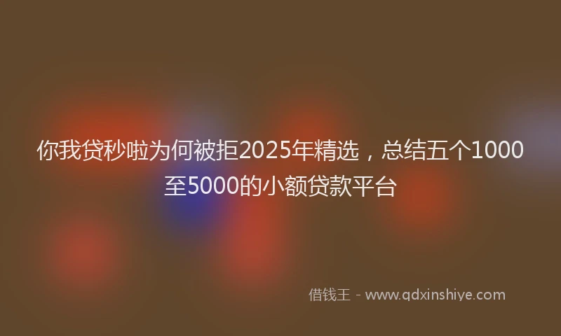 你我贷秒啦为何被拒2025年精选，总结五个1000至5000的小额贷款平台