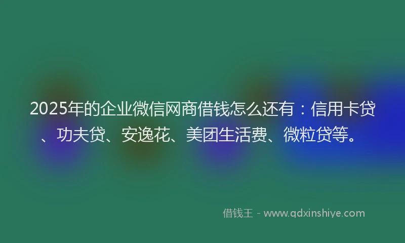 2025年的企业微信网商借钱怎么还有：信用卡贷、功夫贷、安逸花、美团生活费、微粒贷等。