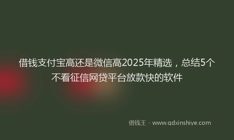 借钱支付宝高还是微信高2025年精选，总结5个不看征信网贷平台放款快的软件