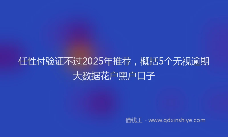 任性付验证不过2025年推荐，概括5个无视逾期大数据花户黑户口子