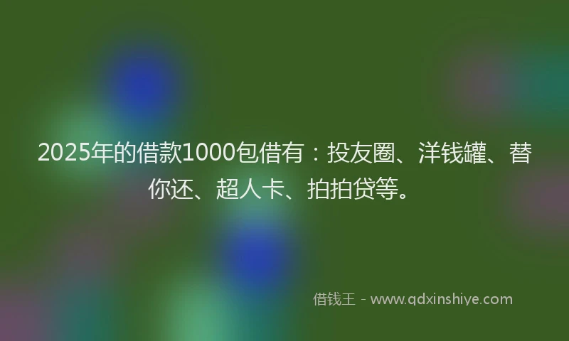 2025年的借款1000包借有：投友圈、洋钱罐、替你还、超人卡、拍拍贷等。