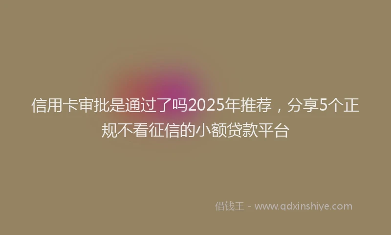 信用卡审批是通过了吗2025年推荐，分享5个正规不看征信的小额贷款平台