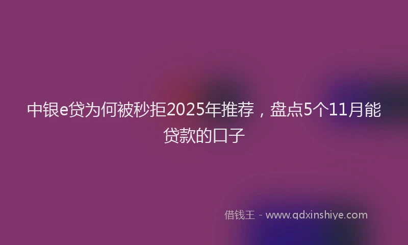 中银e贷为何被秒拒2025年推荐，盘点5个11月能贷款的口子