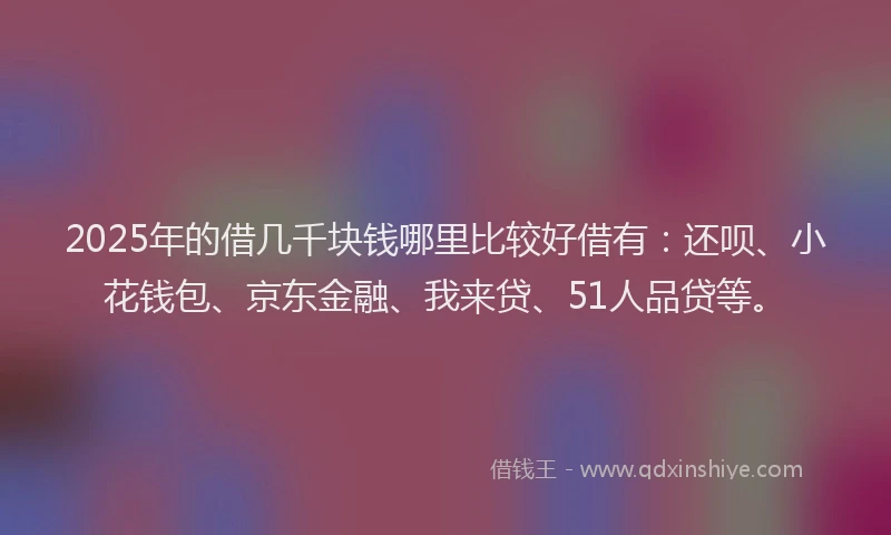 2025年的借几千块钱哪里比较好借有：还呗、小花钱包、京东金融、我来贷、51人品贷等。