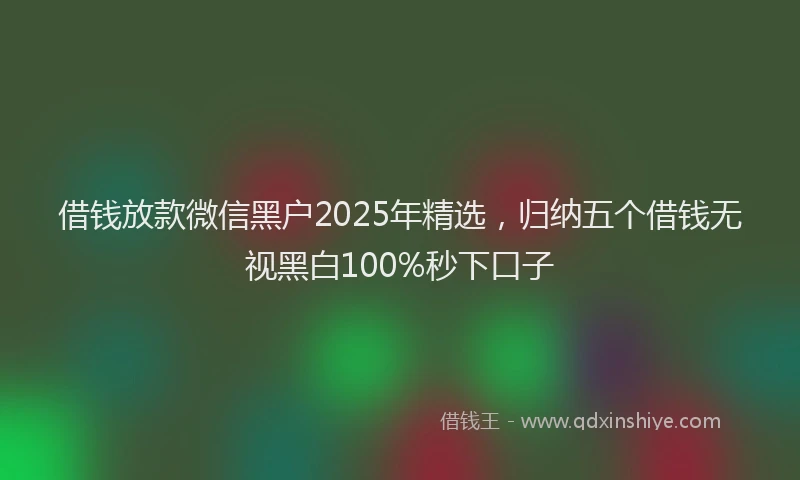 借钱放款微信黑户2025年精选，归纳五个借钱无视黑白100%秒下口子