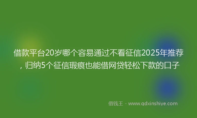 借款平台20岁哪个容易通过不看征信2025年推荐，归纳5个征信瑕疵也能借网贷轻松下款的口子