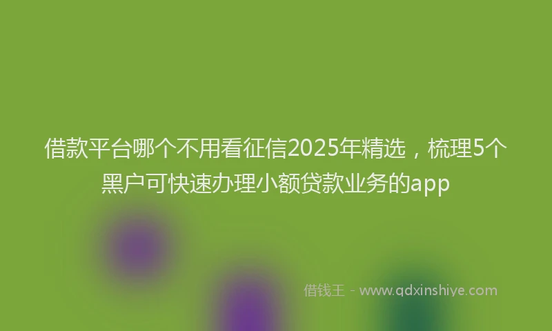 借款平台哪个不用看征信2025年精选，梳理5个黑户可快速办理小额贷款业务的app