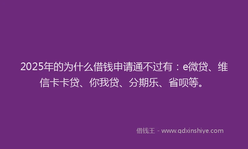 2025年的为什么借钱申请通不过有：e微贷、维信卡卡贷、你我贷、分期乐、省呗等。