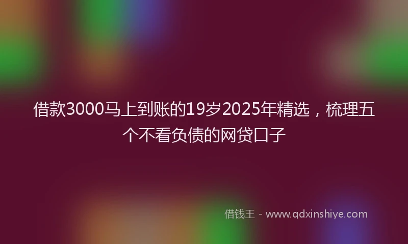 借款3000马上到账的19岁2025年精选，梳理五个不看负债的网贷口子