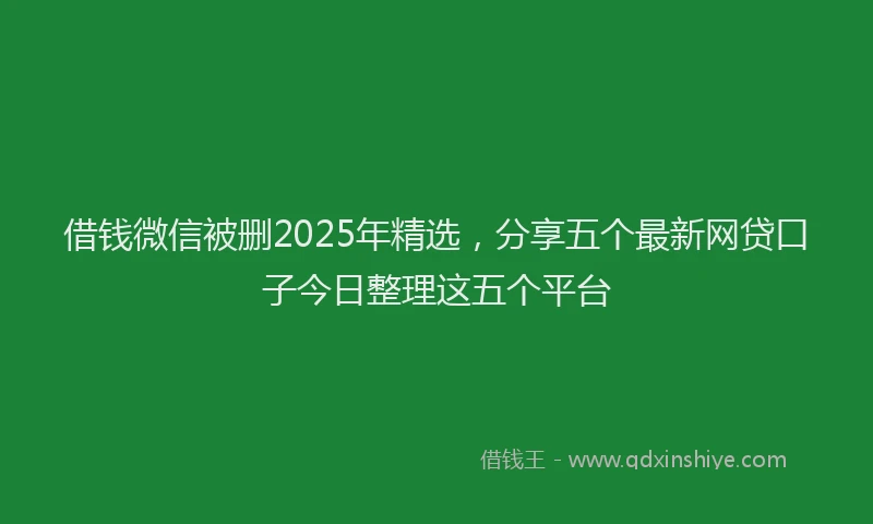 借钱微信被删2025年精选，分享五个最新网贷口子今日整理这五个平台