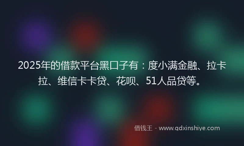 2025年的借款平台黑口子有：度小满金融、拉卡拉、维信卡卡贷、花呗、51人品贷等。