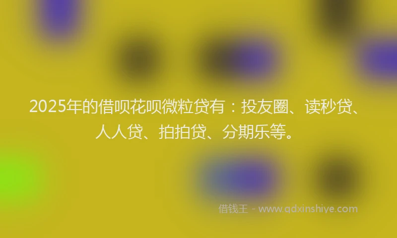 2025年的借呗花呗微粒贷有：投友圈、读秒贷、人人贷、拍拍贷、分期乐等。