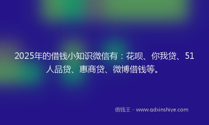 2025年的借钱小知识微信有：花呗、你我贷、51人品贷、惠商贷、微博借钱等。