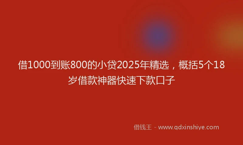 借1000到账800的小贷2025年精选，概括5个18岁借款神器快速下款口子
