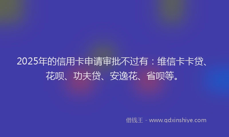 2025年的信用卡申请审批不过有：维信卡卡贷、花呗、功夫贷、安逸花、省呗等。