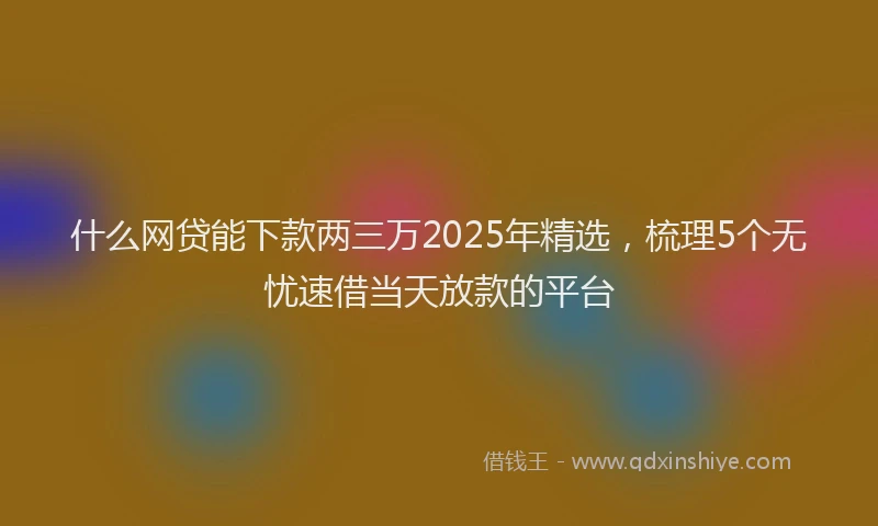 什么网贷能下款两三万2025年精选，梳理5个无忧速借当天放款的平台