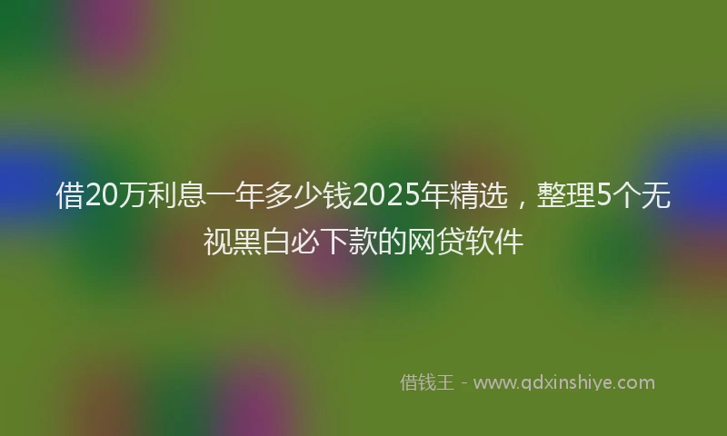 借20万利息一年多少钱2025年精选，整理5个无视黑白必下款的网贷软件
