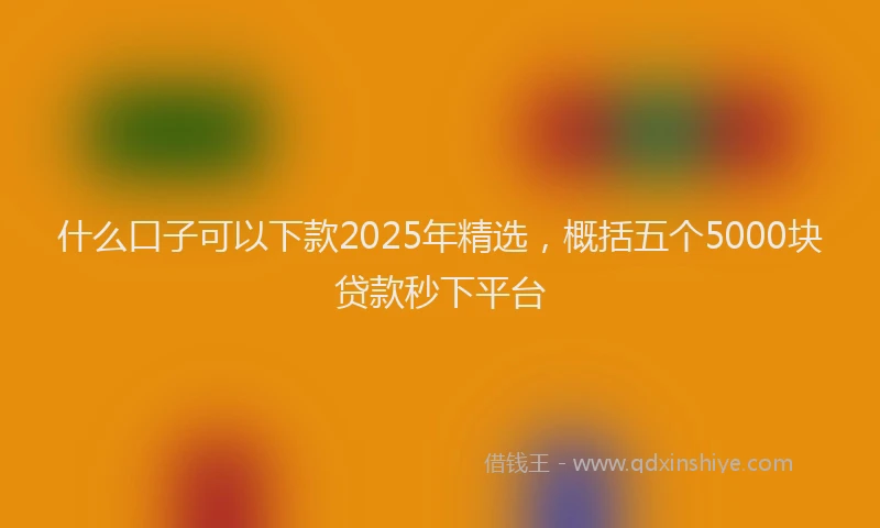 什么口子可以下款2025年精选，概括五个5000块贷款秒下平台