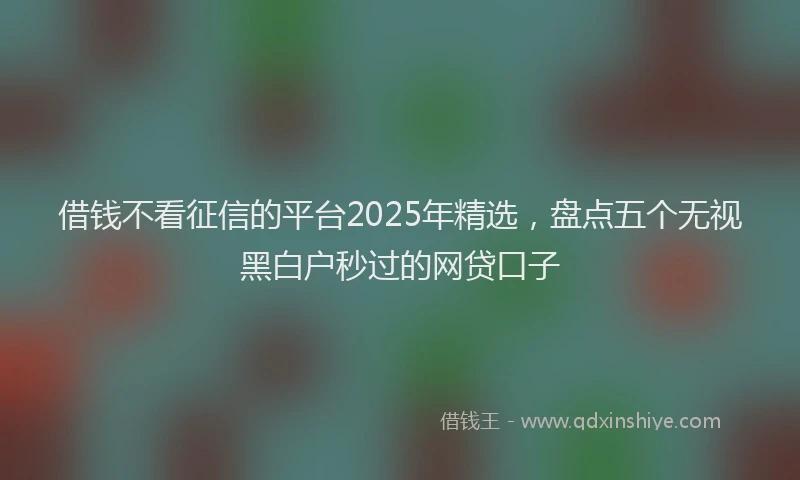 借钱不看征信的平台2025年精选，盘点五个无视黑白户秒过的网贷口子