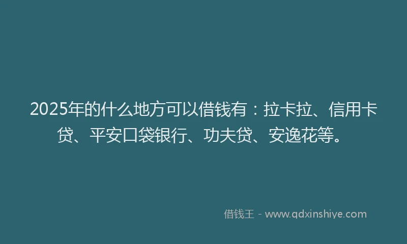 2025年的什么地方可以借钱有：拉卡拉、信用卡贷、平安口袋银行、功夫贷、安逸花等。
